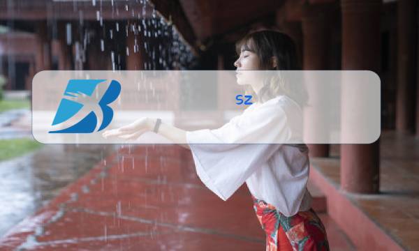sz 韩国 正品 冬装图片